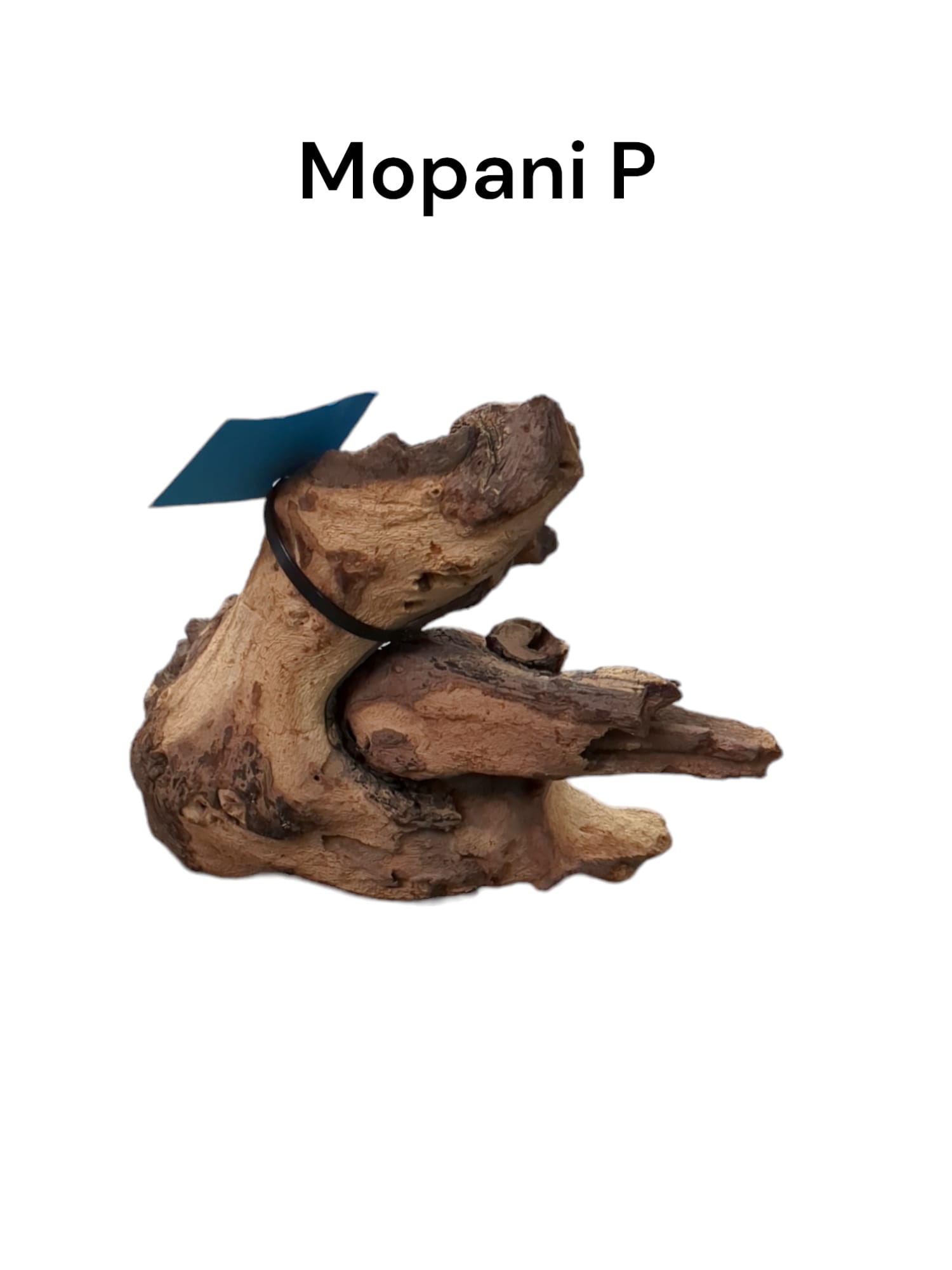 mopani p2.jpg